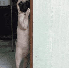 TV 속과는 사뭇 다른 우리의 현실 7가지 | 인스티즈