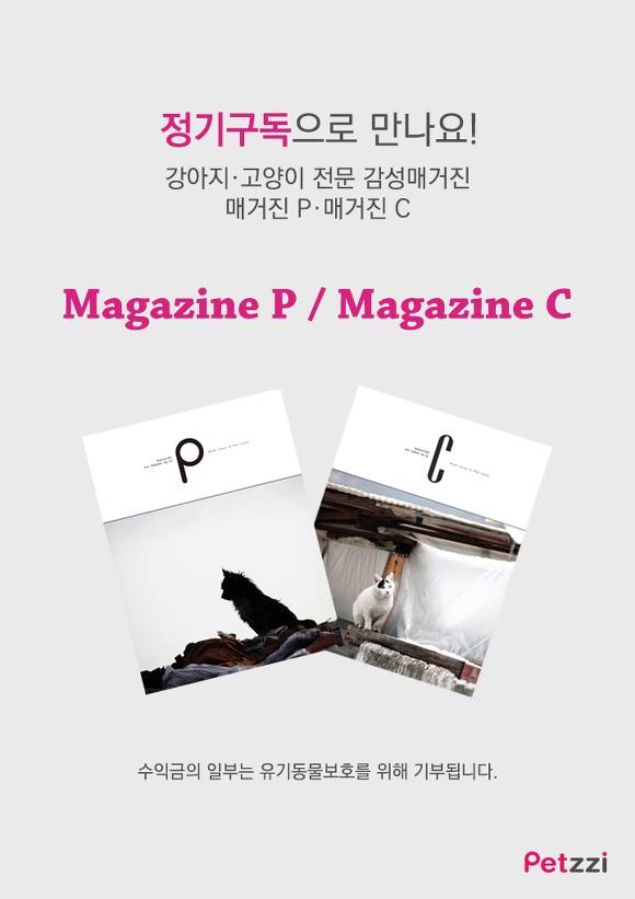 우리집 고양이는 소통왕(만화).jpg | 인스티즈