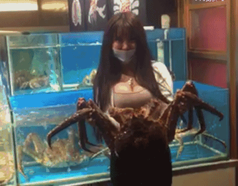 거대한 게ㄷㄷ | 인스티즈