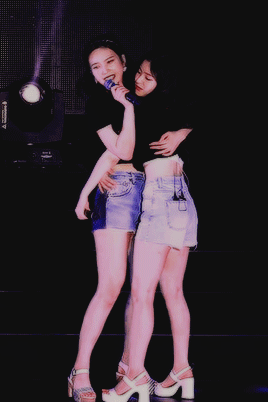 아이린&amp;조이.gif | 인스티즈