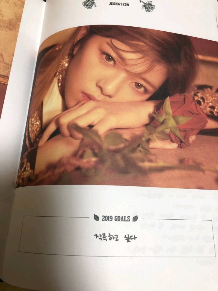 트와이스 멤버들의 2019년 목표.jpg | 인스티즈