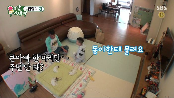 강아지 한마리 분양은 문다고 절대 분양안해주는 김건모 조카ㅋㅋㅋ .jpg | 인스티즈