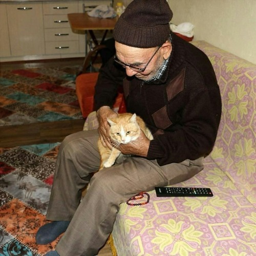 화재현장에서 고양이를 구한 할아버지 | 인스티즈