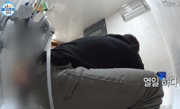 전현무 윌슨 목욕시키기 | 인스티즈