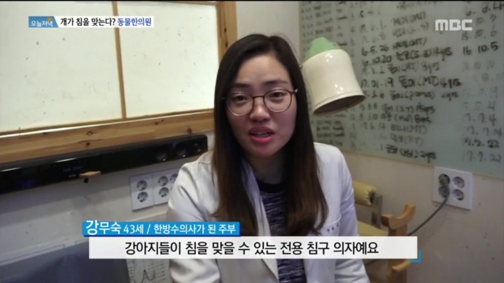 강아지 한의원.jpg | 인스티즈