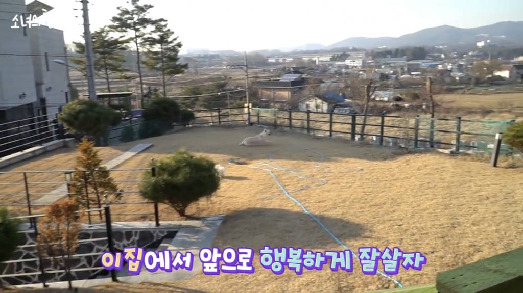 [소녀의행성] 랜선 집들이 | 인스티즈