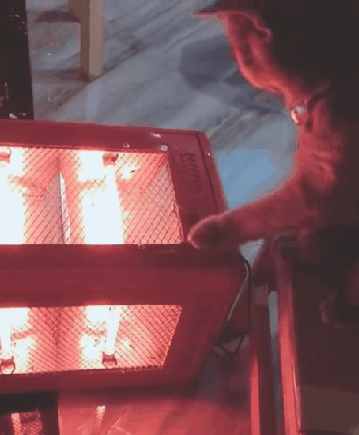 따뜻한걸 좋아하는 냥이 | 인스티즈