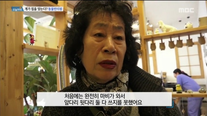 강아지 한의원.jpg | 인스티즈