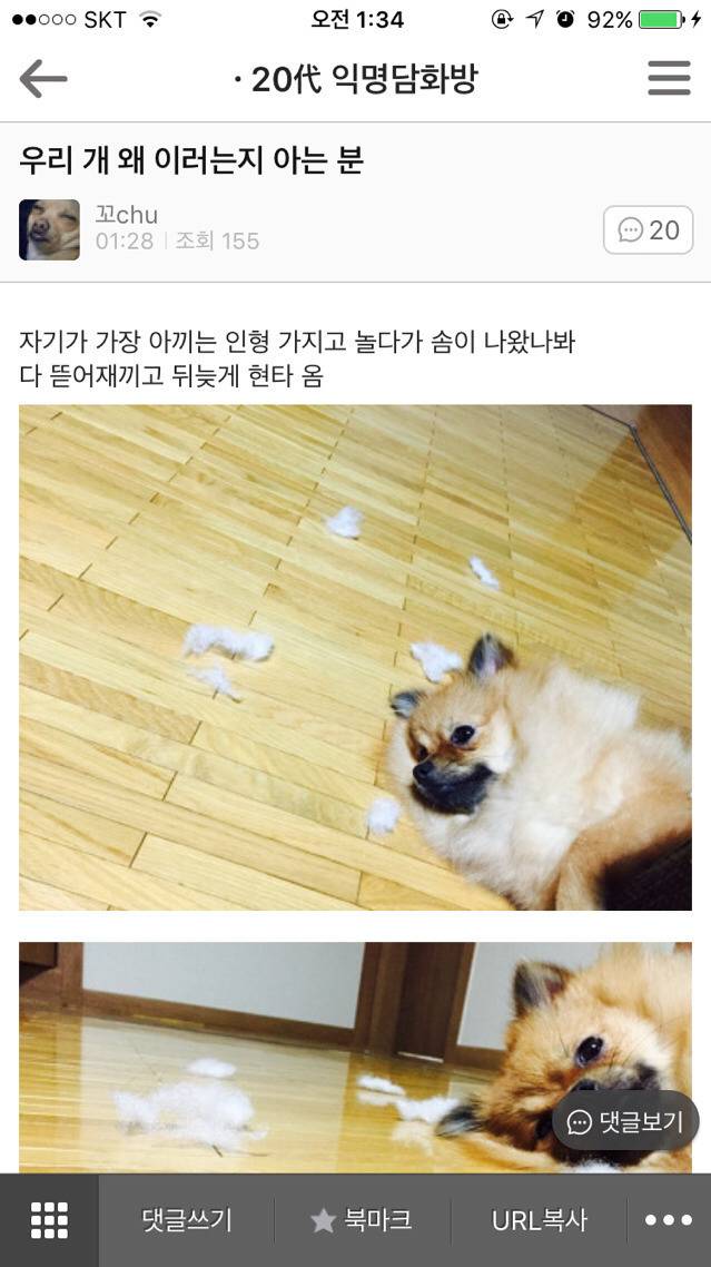 평화로운 익친이네 개들.jpg | 인스티즈