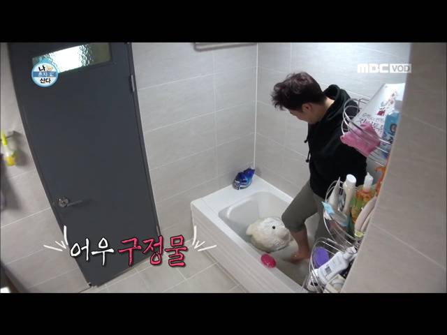 전현무 윌슨 목욕시키기 | 인스티즈