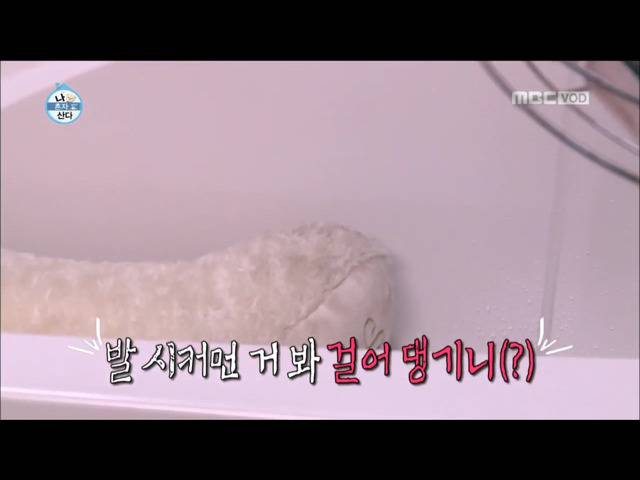 전현무 윌슨 목욕시키기 | 인스티즈