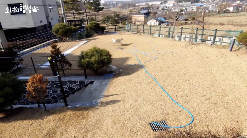 [소녀의행성] 랜선 집들이 | 인스티즈