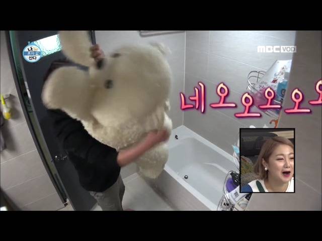 전현무 윌슨 목욕시키기 | 인스티즈