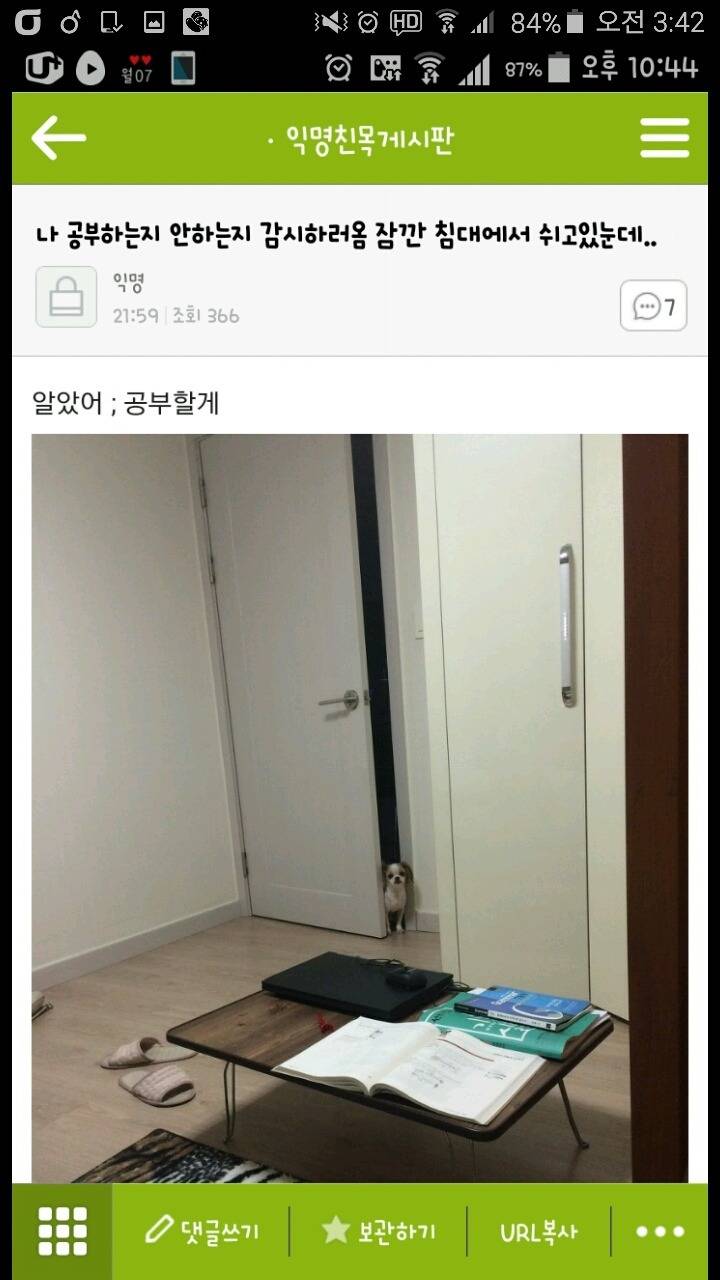 평화로운 익친이네 개들.jpg | 인스티즈