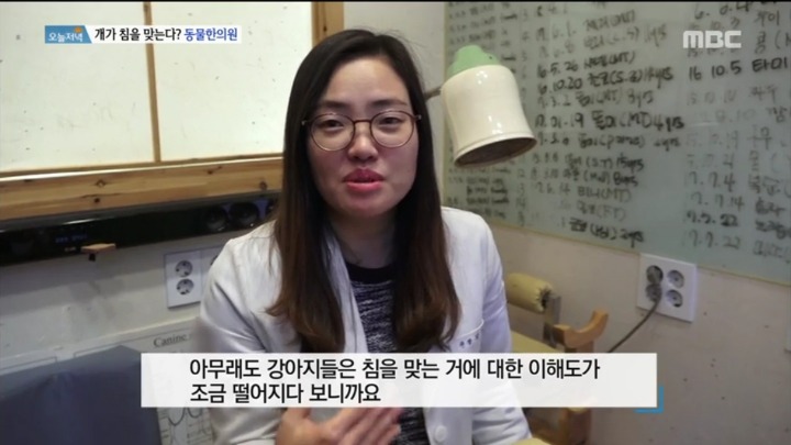 강아지 한의원.jpg | 인스티즈