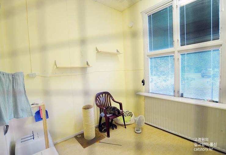 스웨덴의 고양이 보호소.bgm | 인스티즈