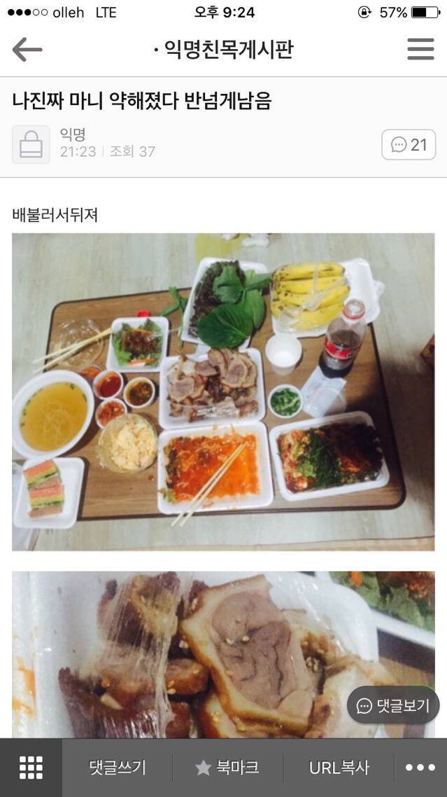 평화로운 익친이네 개들.jpg | 인스티즈