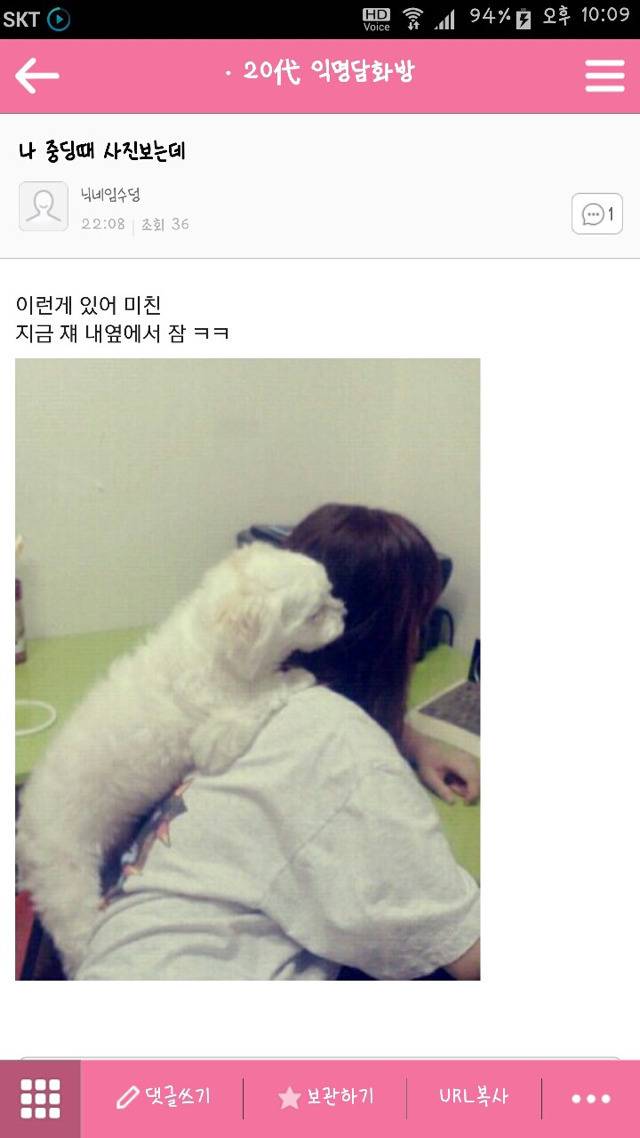 평화로운 익친이네 개들.jpg | 인스티즈