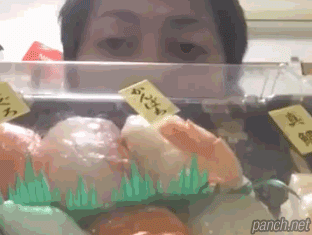 집에서 회전초밥 먹는 방법.gif | 인스티즈