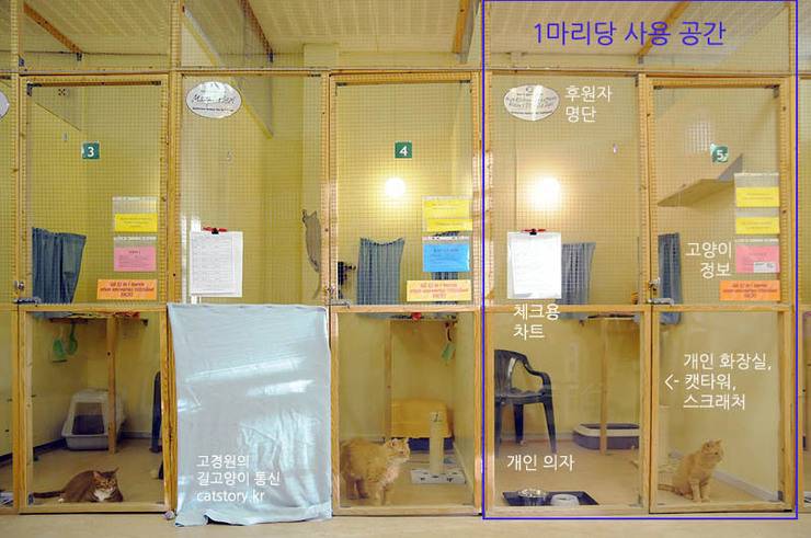 스웨덴의 고양이 보호소.bgm | 인스티즈