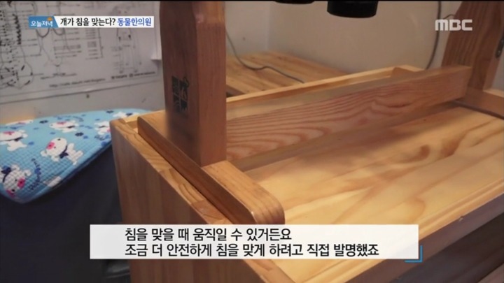 강아지 한의원.jpg | 인스티즈