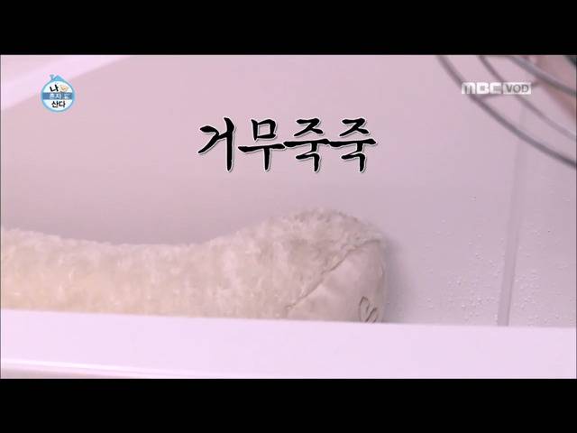 전현무 윌슨 목욕시키기 | 인스티즈