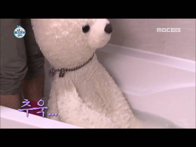 전현무 윌슨 목욕시키기 | 인스티즈