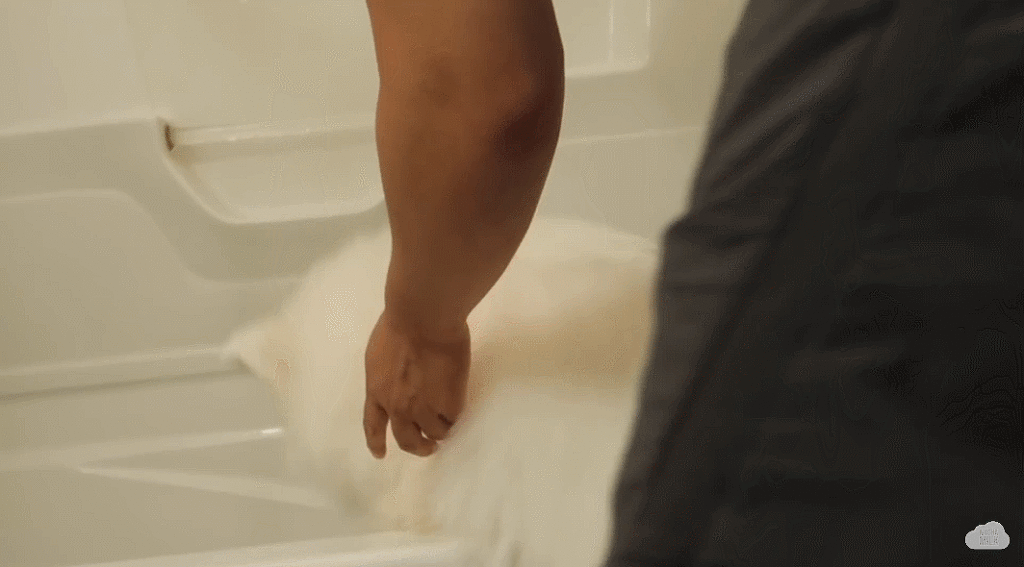 세상 순한 사모예드 댕댕이 목욕 시키기.jpgif | 인스티즈