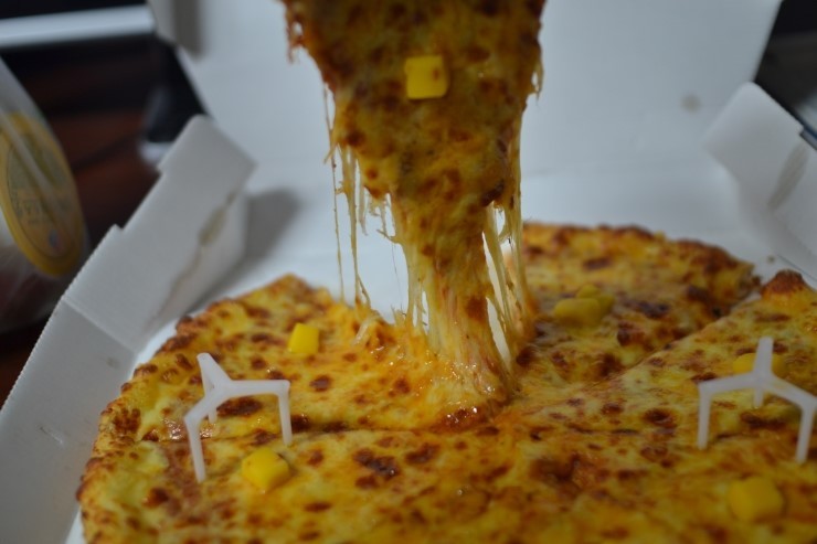 5억받고 치피삼(치킨,피자,삼겹살) 끊기 가능하다 vs 불가능 | 인스티즈