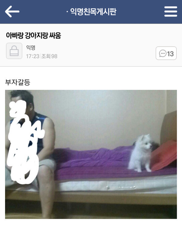 평화로운 익친이네 개들.jpg | 인스티즈