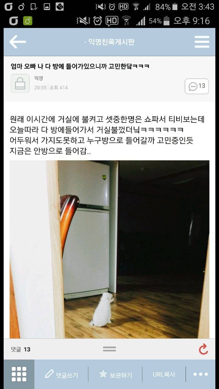 평화로운 익친이네 개들.jpg | 인스티즈