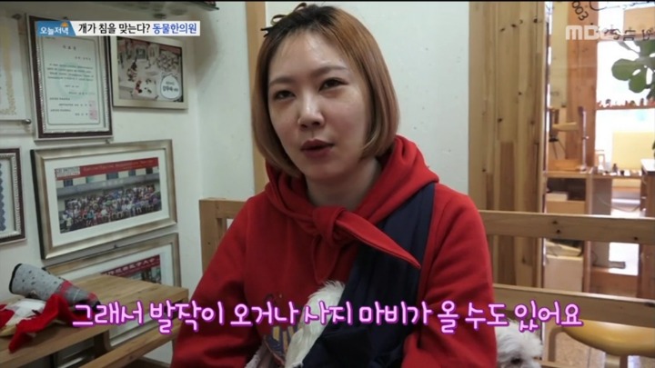 강아지 한의원.jpg | 인스티즈