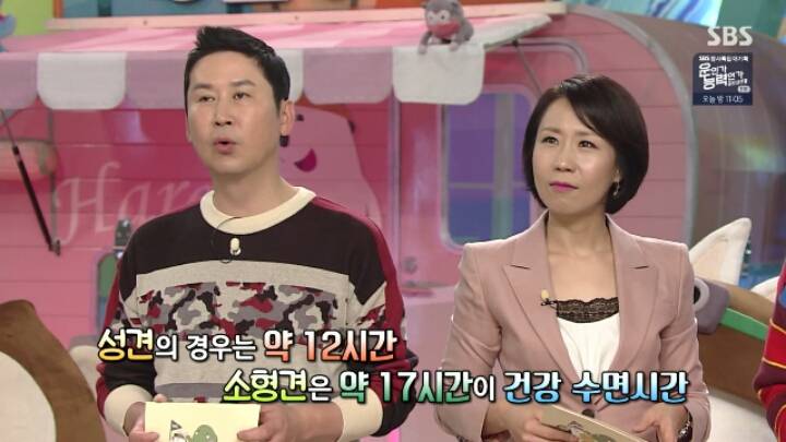 댕댕이의 건강 수면시간 | 인스티즈