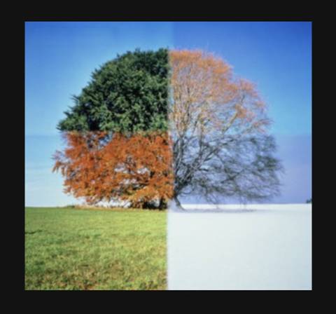 자신이 가장 좋아하는 계절은? | 인스티즈