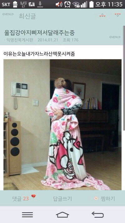 평화로운 익친이네 개들.jpg | 인스티즈