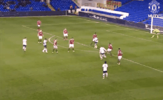 상남자가 되어가는 페레이라.GIF | 인스티즈