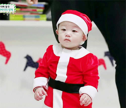 크리스마스 기념 산타복 입은 대박이.jpgif | 인스티즈