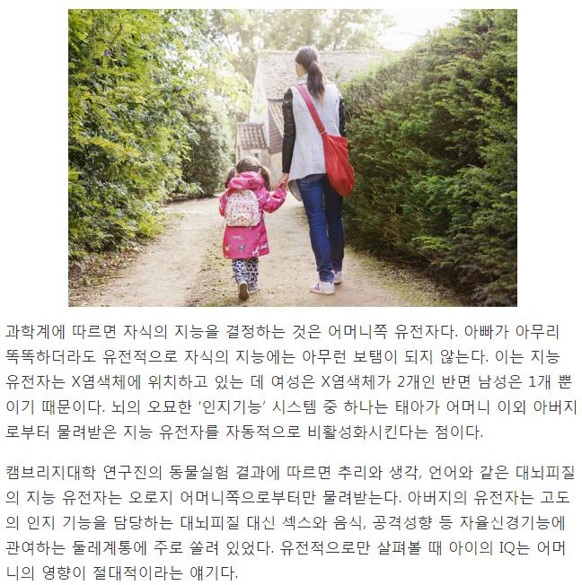 지능 유전자는 엄마에게서만 물려받는다 | 인스티즈