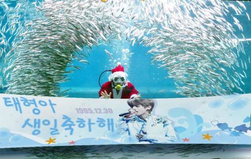 [단독] BTS 뷔 中팬, 세계 최초로 아쿠아리움 통째 빌려 수중 생일 축하! | 인스티즈