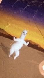 오늘자 엑소 메인댄서 세훈의 독무...gif | 인스티즈