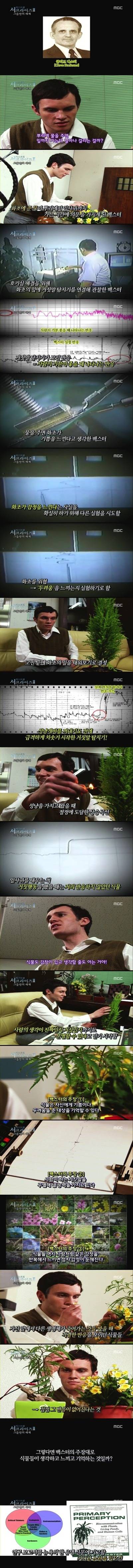  살인사건의 유일한 목격자인 식물 | 인스티즈