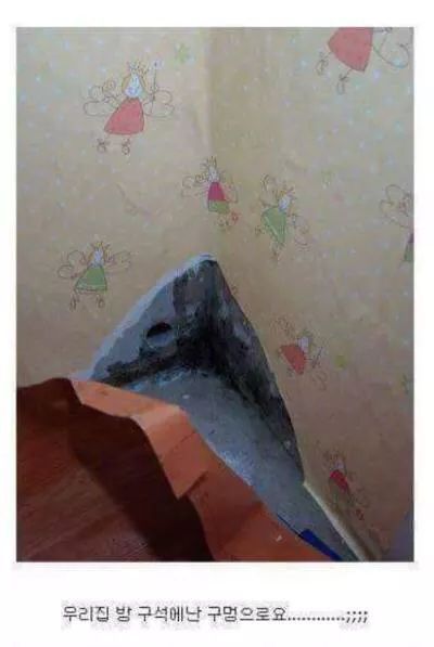 바나나킥 만드는 공장 | 인스티즈