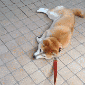 혼자 가라고 씨바.gif | 인스티즈