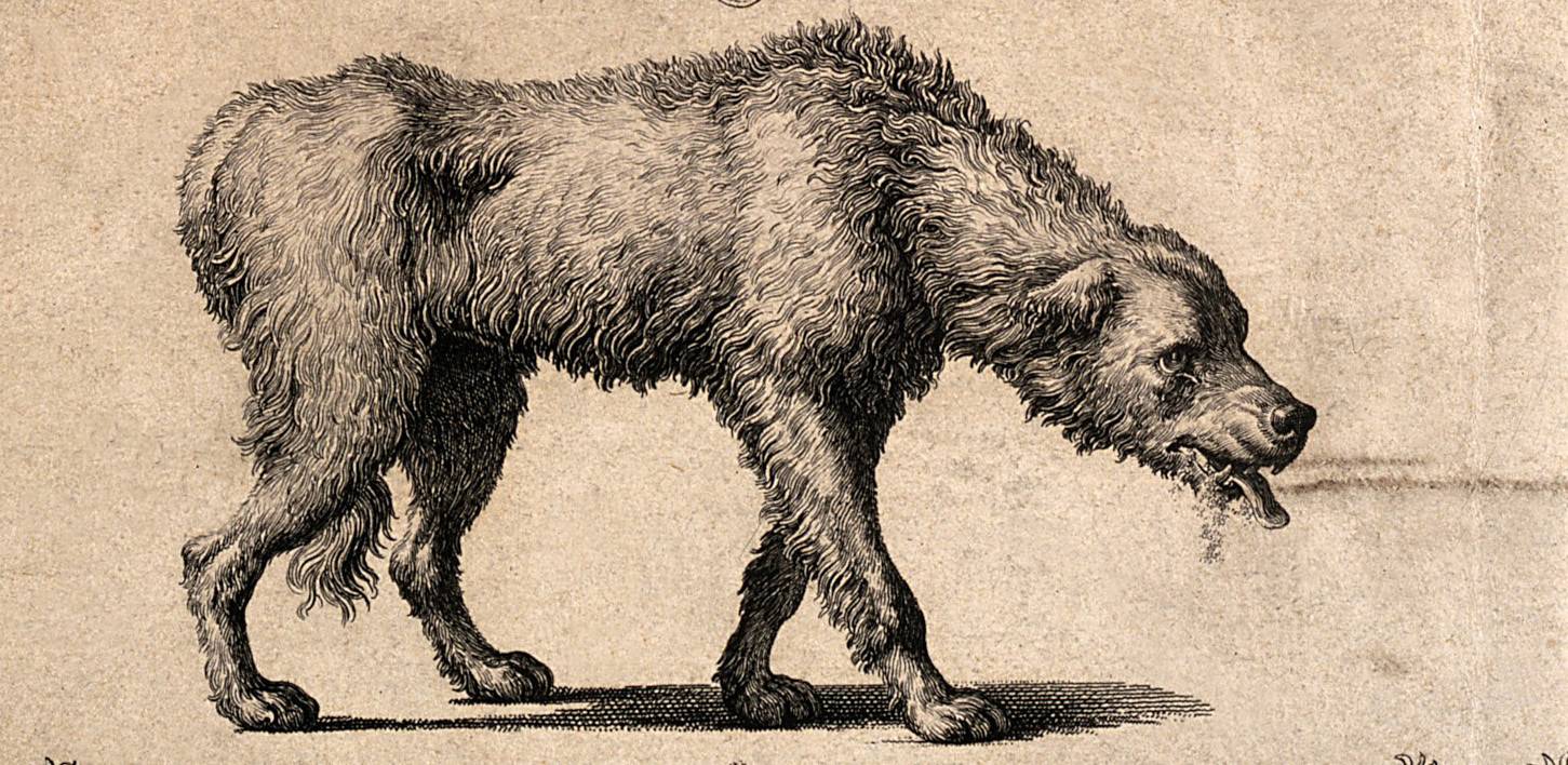 오늘날까지도 치료법이 발견되지 않은 치사율 100％의 병 (충격주의) | 인스티즈