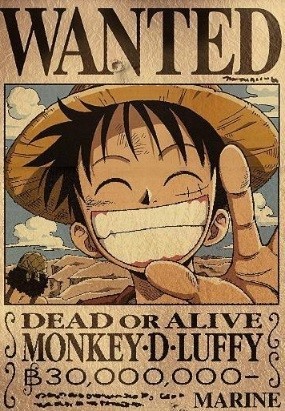 한국에서 제일 인지도가 높은 루피는?? | 인스티즈