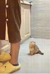 밥 빨리 달라고 | 인스티즈