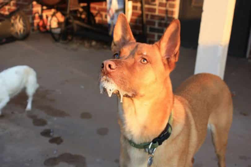 오늘날까지도 치료법이 발견되지 않은 치사율 100％의 병 (충격주의) | 인스티즈