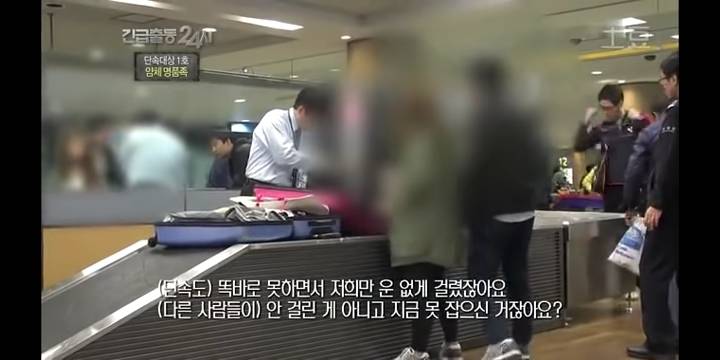 공항 세관 단속에 걸린 사람들.jpg | 인스티즈