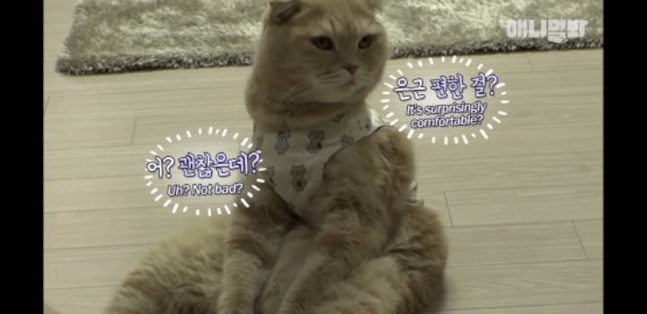 앉아있는게 편한 때껄룩 | 인스티즈