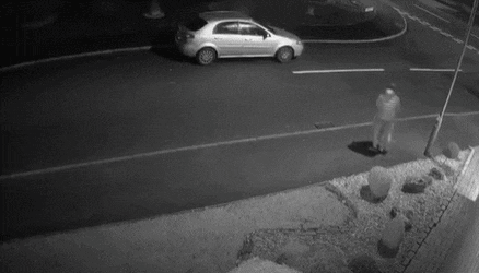 CCTV에 잡힌 버려지는 강아지 | 인스티즈